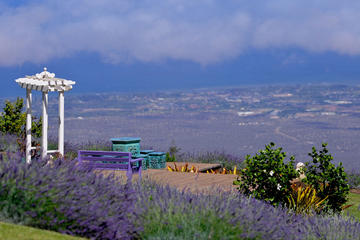 Things to do in Maui